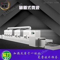 新型大豆微波熟化機(jī)豆類微波烘烤熟化設(shè)備