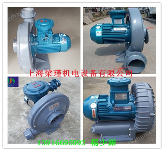 氣體輸送防爆高壓風(fēng)機(jī)