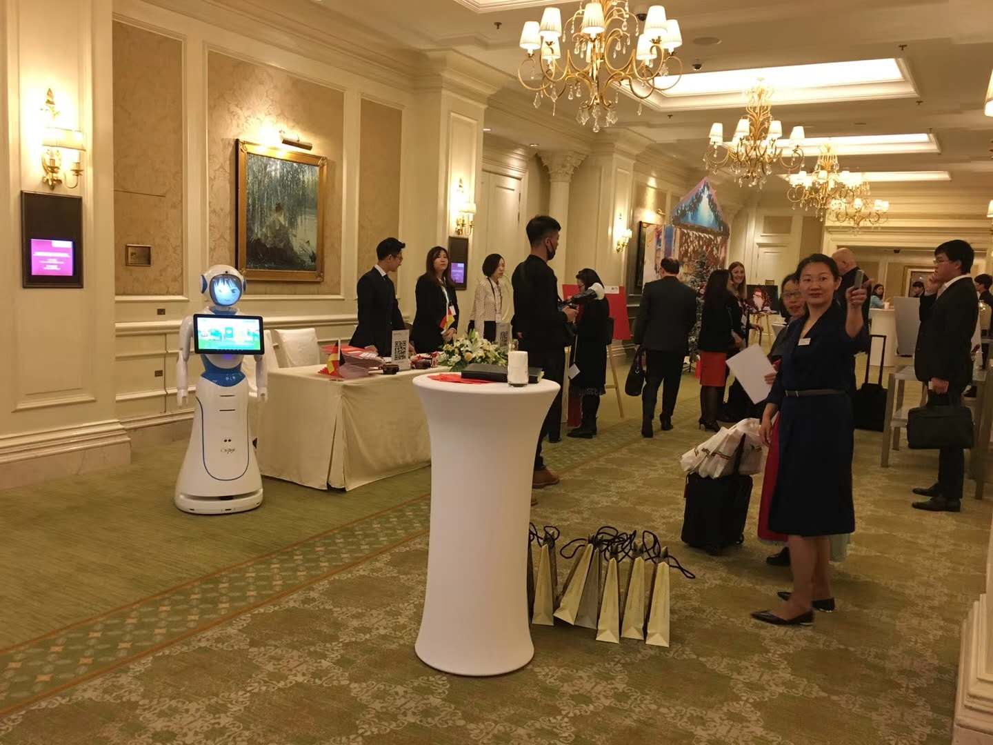 供应德国丽思卡尔顿酒店迎宾接待机器人